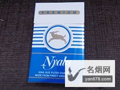 Nyala PREMIUM香烟价格表（多少钱一包）